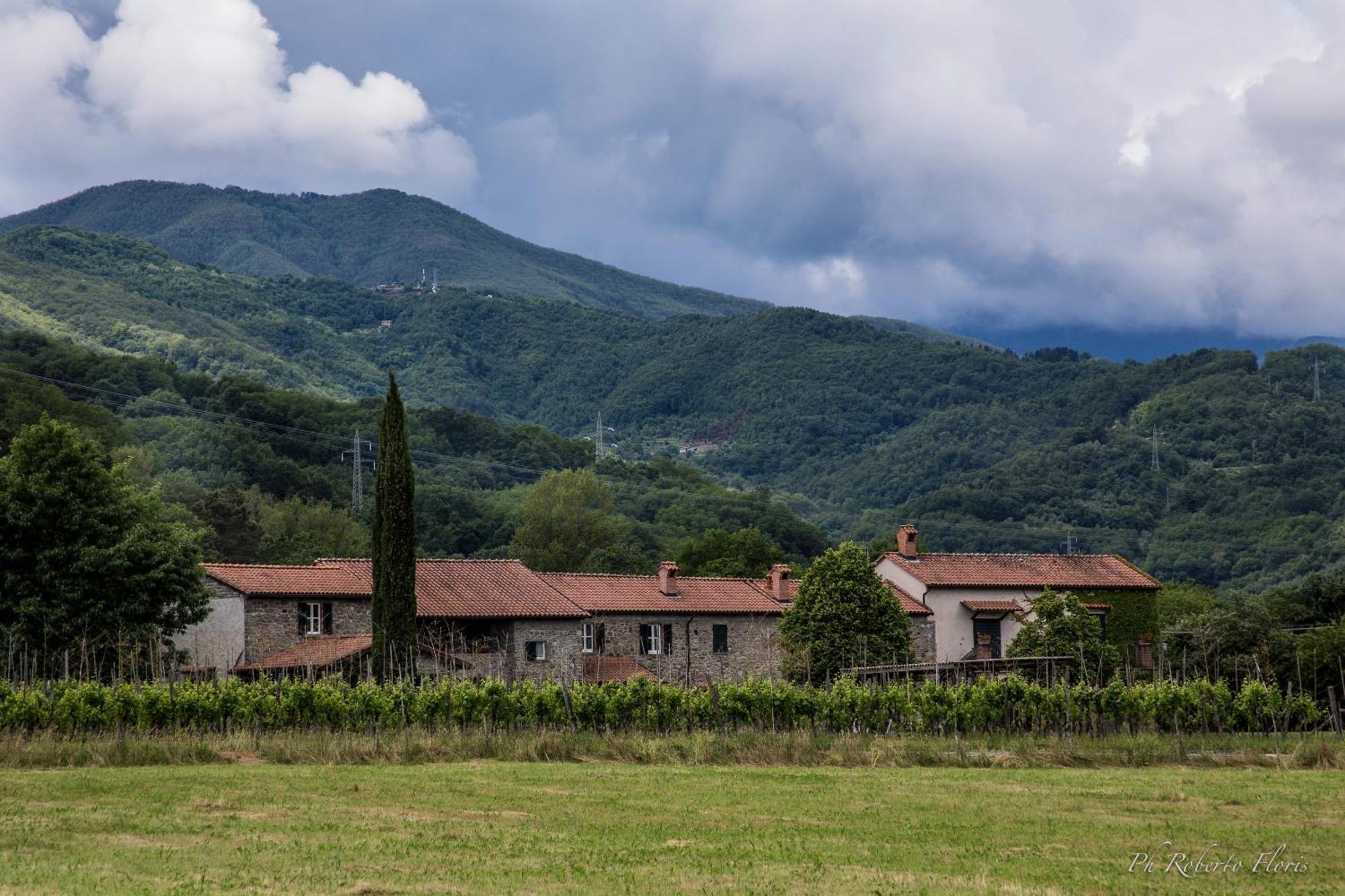 Coriana Apartments & Villas Mulazzo Eksteriør bilde